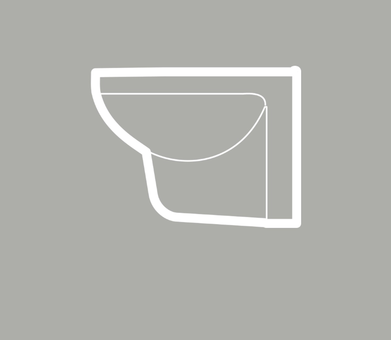 Wall hung pan wc